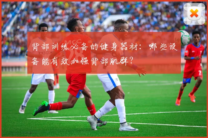 背部训练必备的健身器材：哪些设备能有效加强背部肌群？